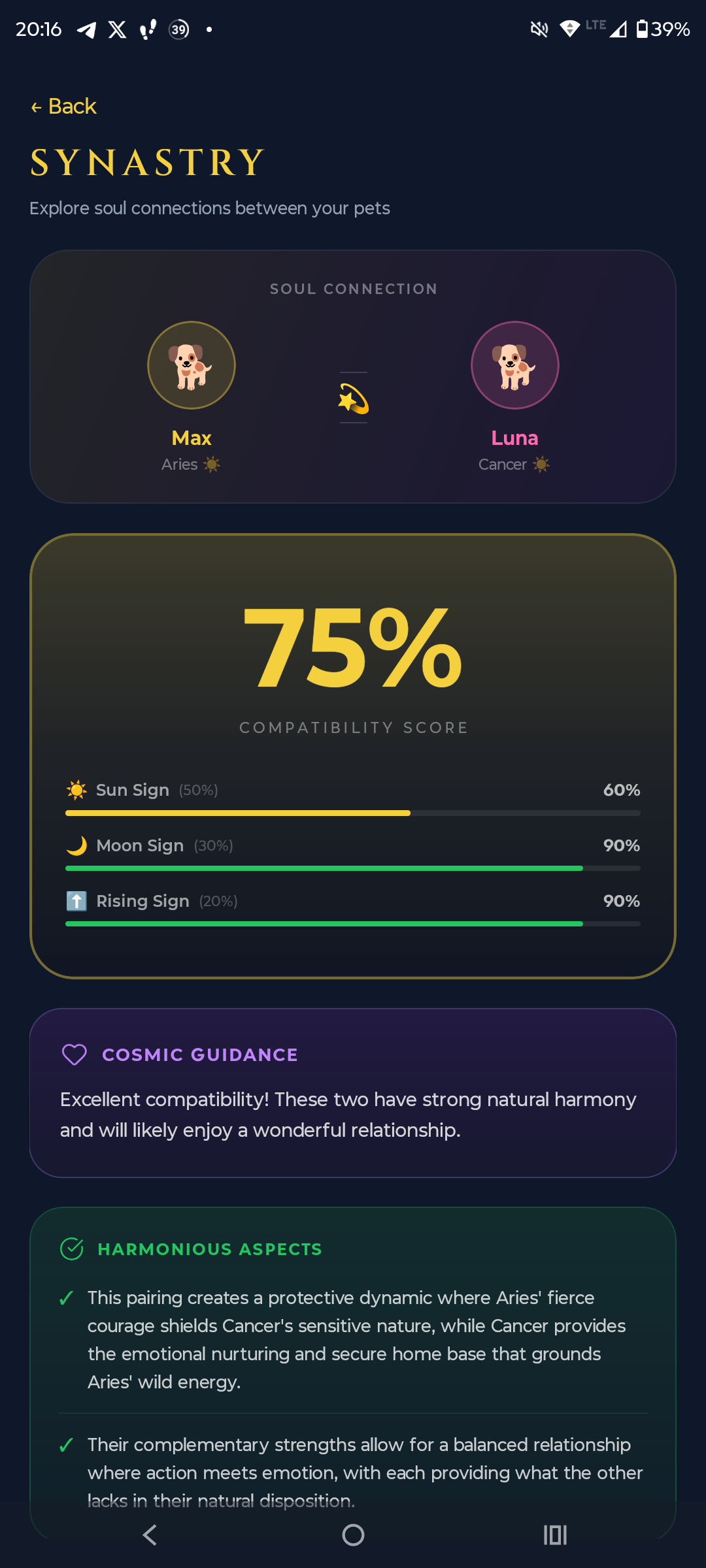 Aetris Synastry - 75% soul compatibility score between pets