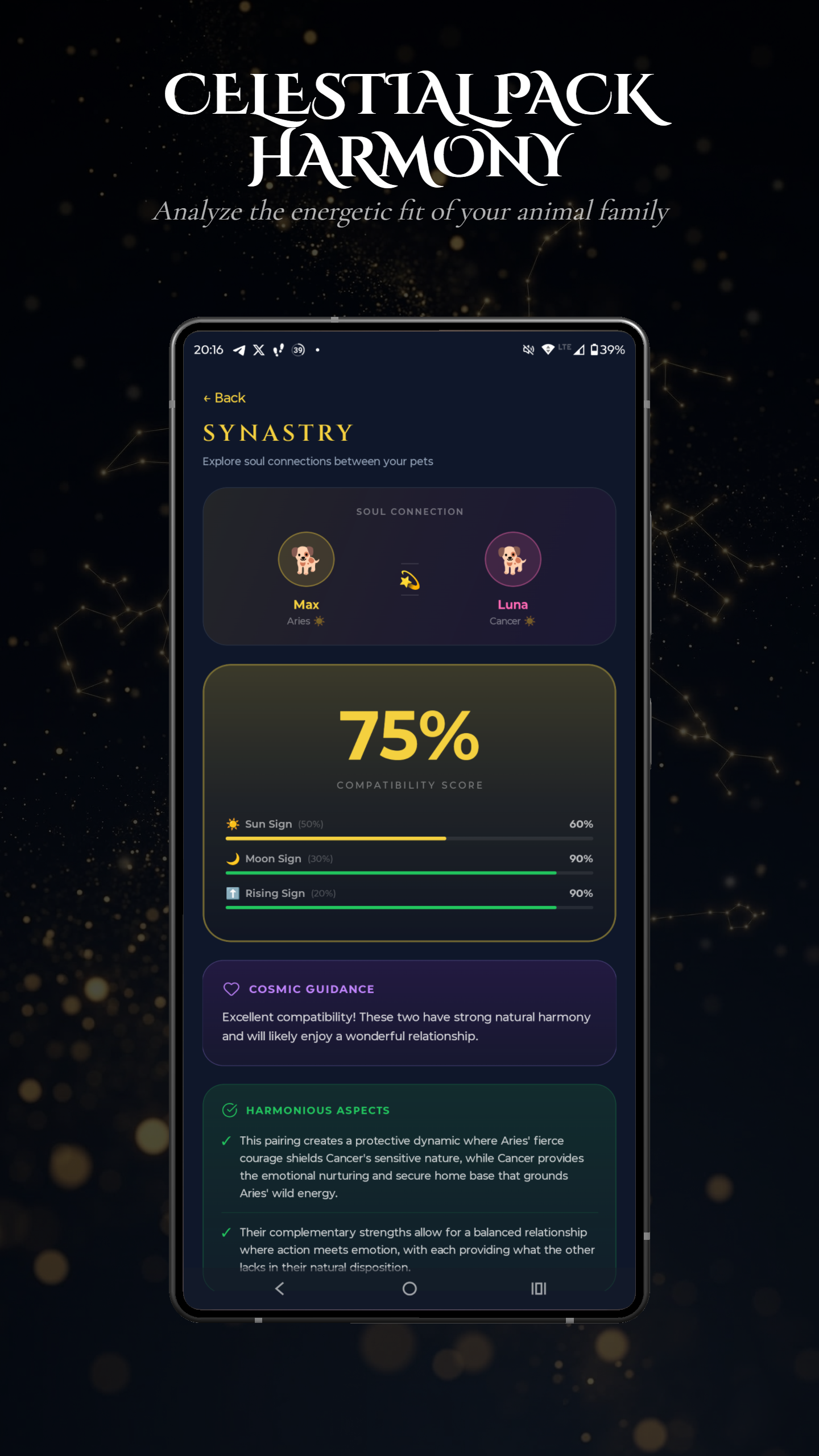 Aetris app - Celestial Pack Harmony - Synastry between pets