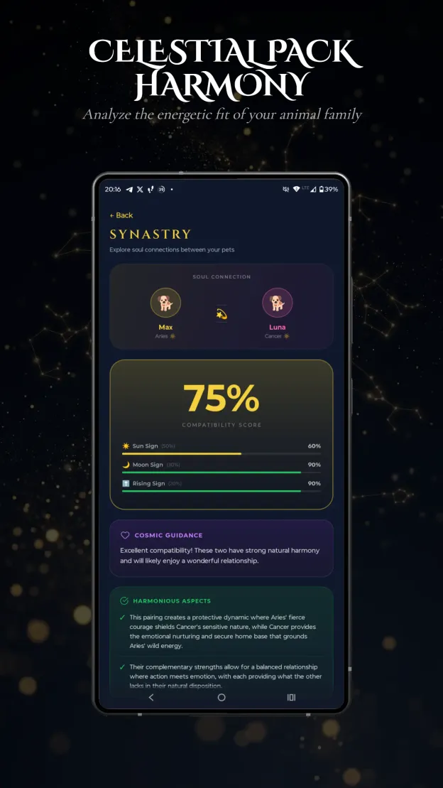 Aetris app — Celestial Pack Harmony synastry between pets